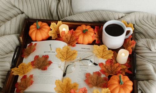 How to Prepare for the Autumn Season in the Bedding Industry